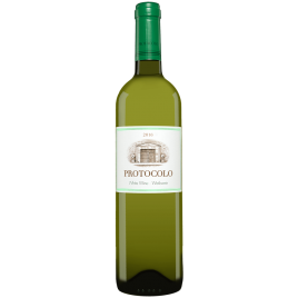 Protocolo Blanco Protocolo Blanco